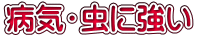病気・虫に強い